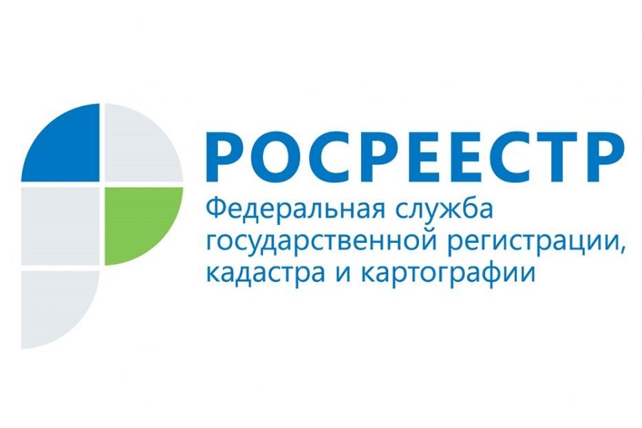 «Вывести» свой участок из леса: куда обращаться и кто имеет на это право