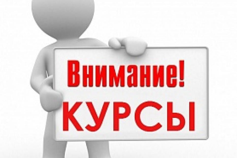 Начинающих предпринимателей приглашают на бесплатные курсы 