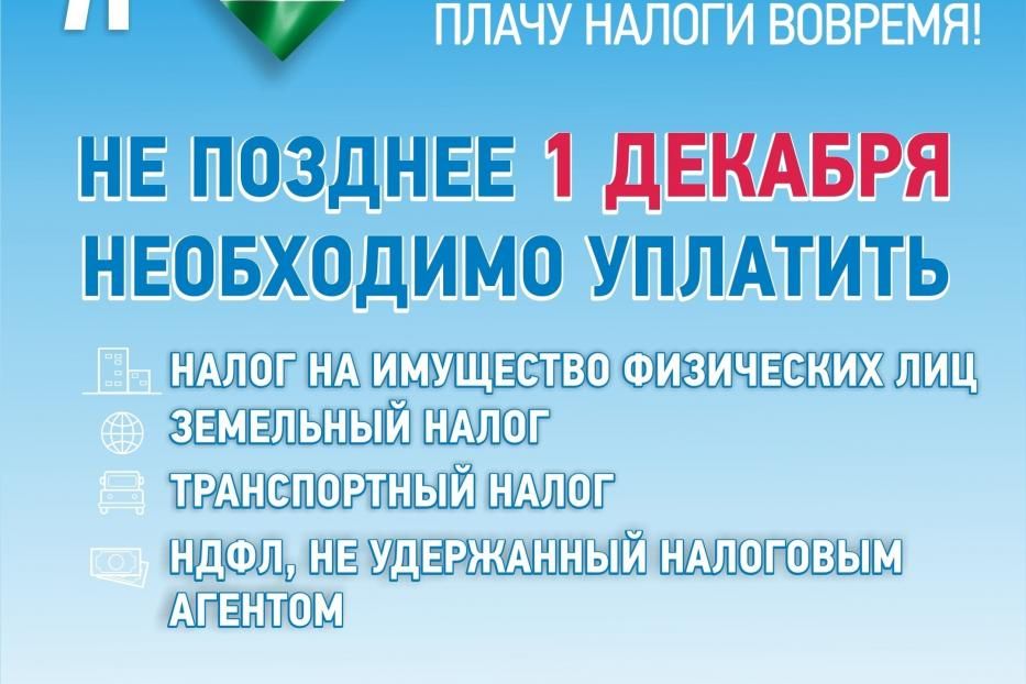 Не позднее 1 декабря необходимо уплатить налоги