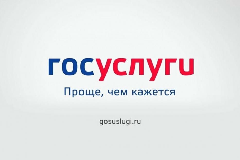 На Госуслугах можно оформить выплату по уходу за нетрудоспособным