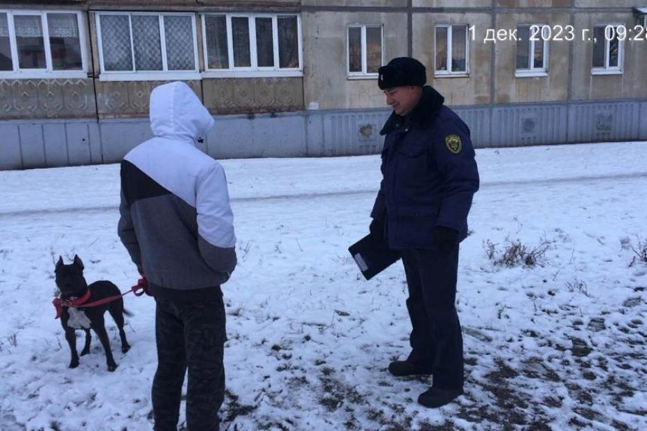 В рамках месячника «Питомец» в Демском районе Уфы ведется планомерная работа