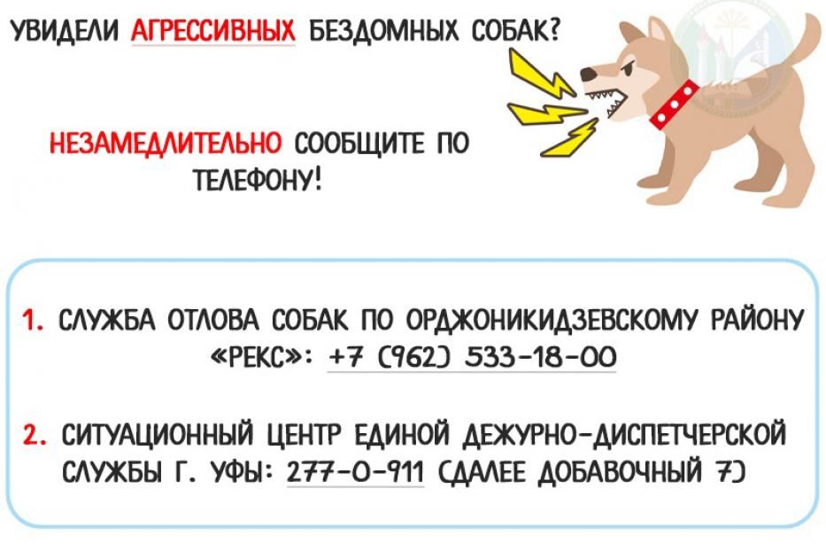 Об ответственном обращении с животными 