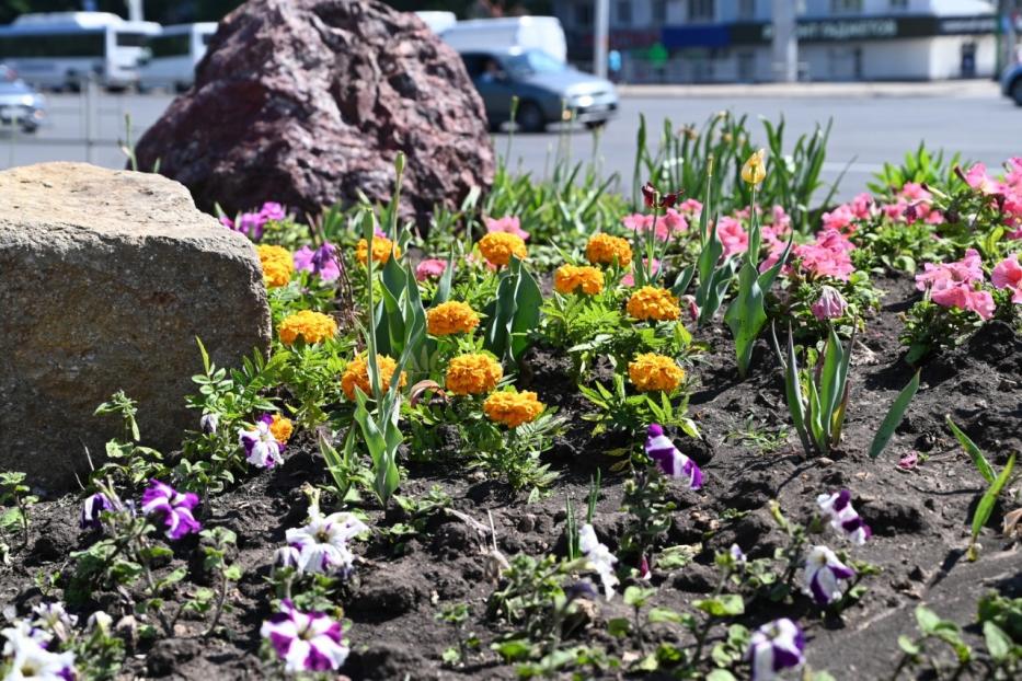 Приглашаем жителей принять участие в городском конкурсе