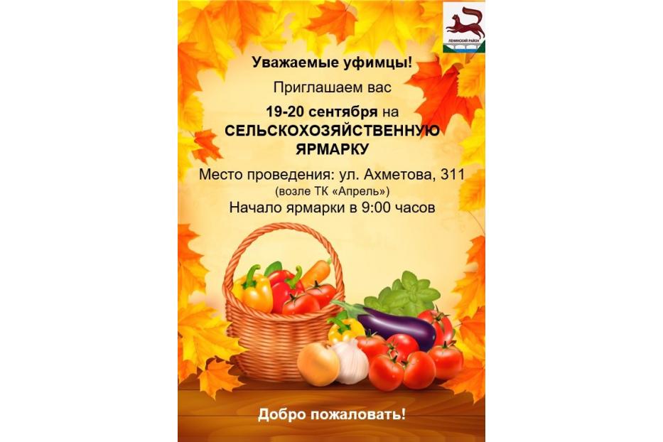 Вблизи парка «Волна» пройдет ярмарка продуктов местного производства