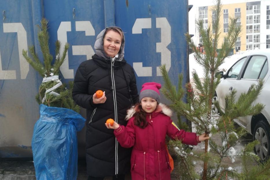 В Кировском районе Уфы пройдет акция «Елки в щепки»