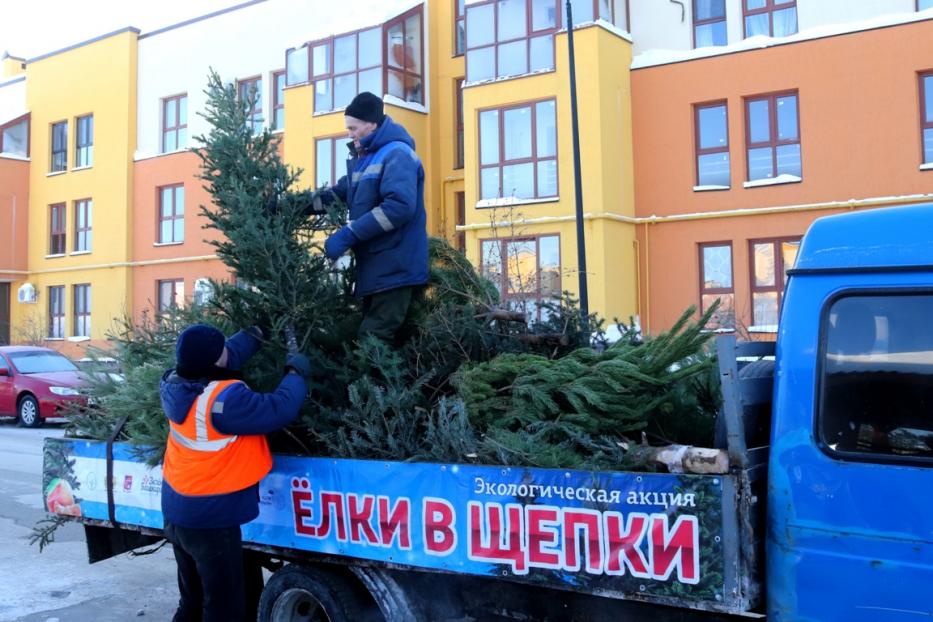 Тем, кто не успел