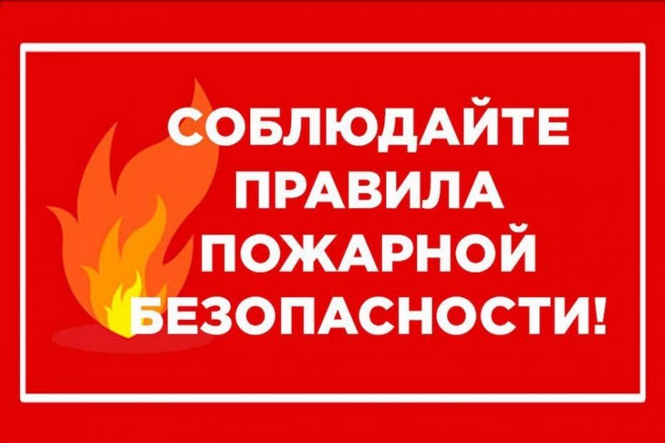 О правилах пожарной безопасности в лесу и на даче