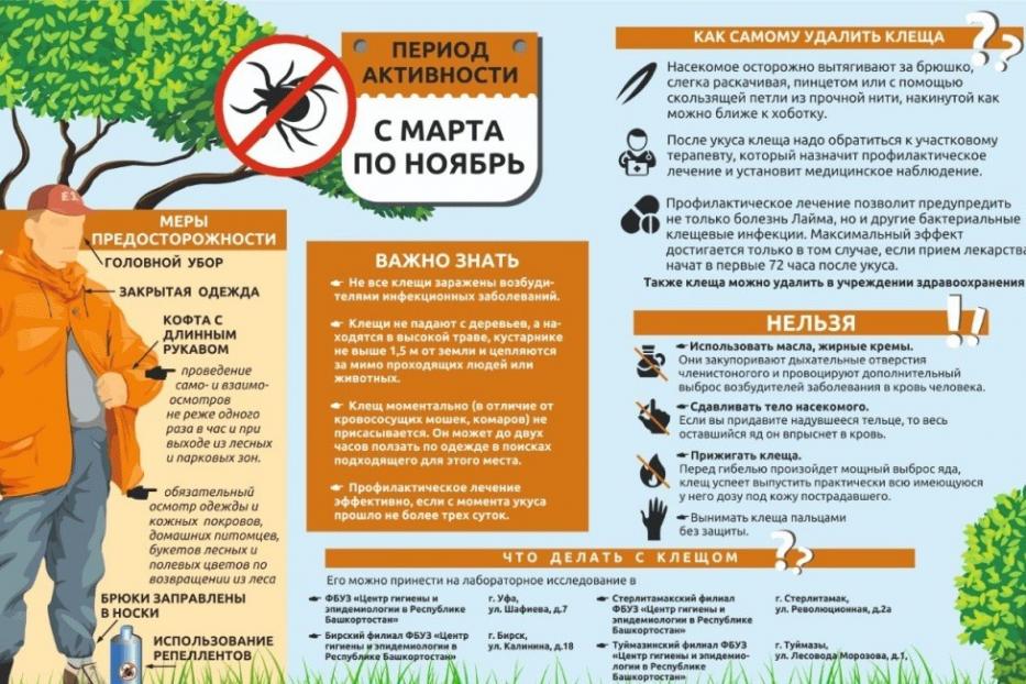 Вакцинируйтесь от клещевого энцефалита своевременно