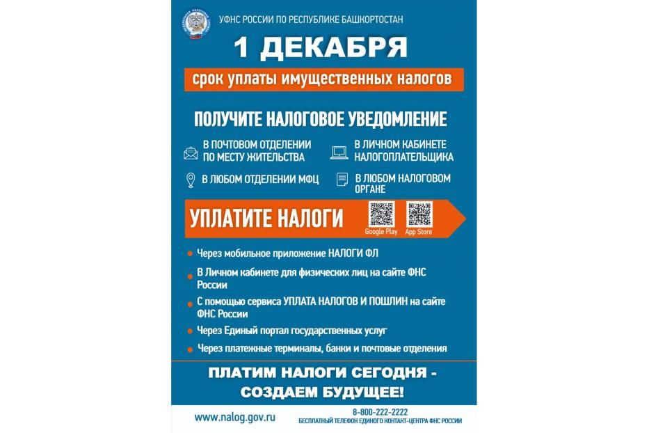 Срок уплаты имущественных налогов за 2020 год – не позднее 1 декабря 2021 года!