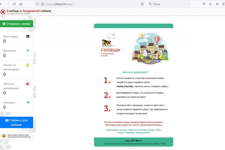 Муниципалитет запускает интерактивную карту «Сообщи о бездомной собаке»