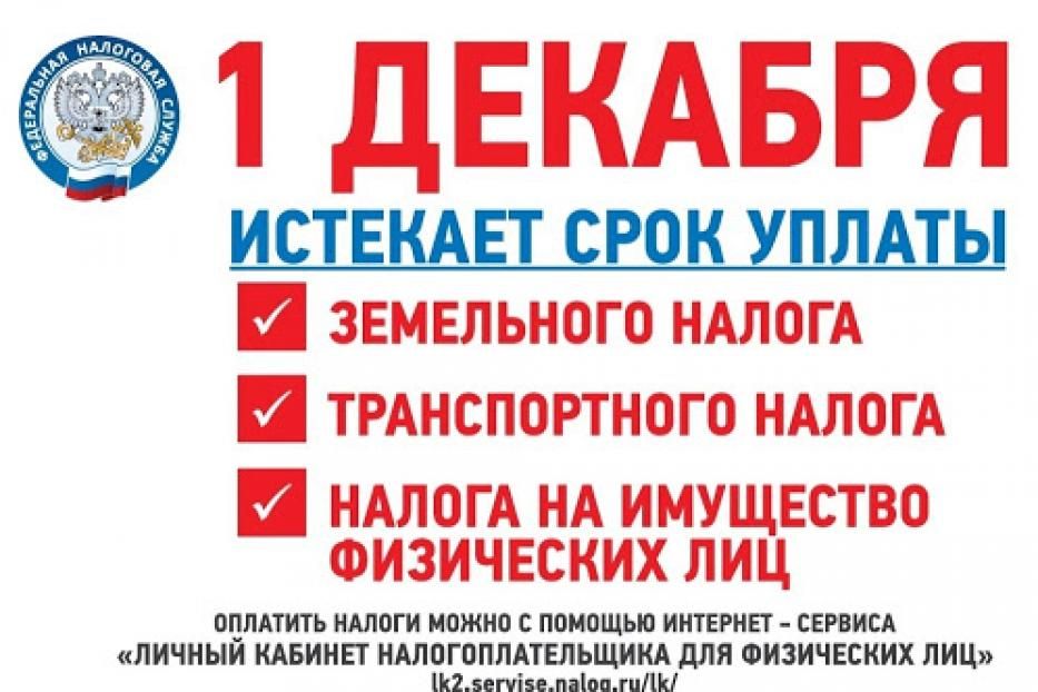 Срок уплаты транспортного, земельного налогов и налога на имущество физических лиц за 2019 год истекает 1 декабря 2020 года