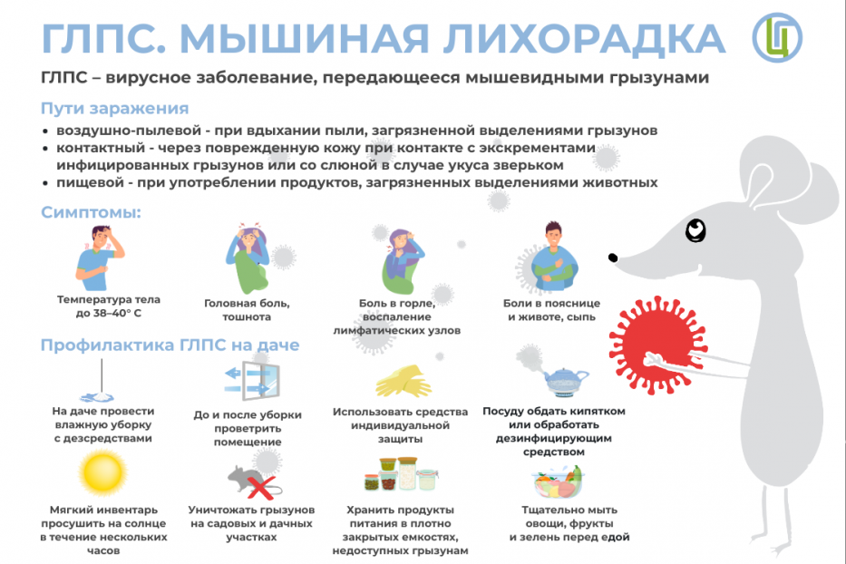 Как не заразиться мышиной лихорадкой?