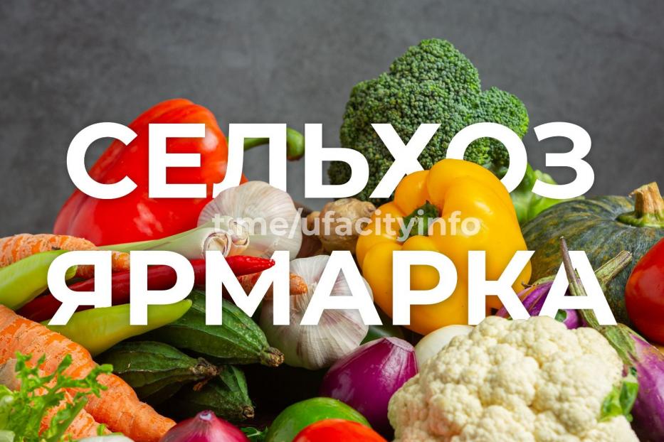 За продуктами – на ярмарку