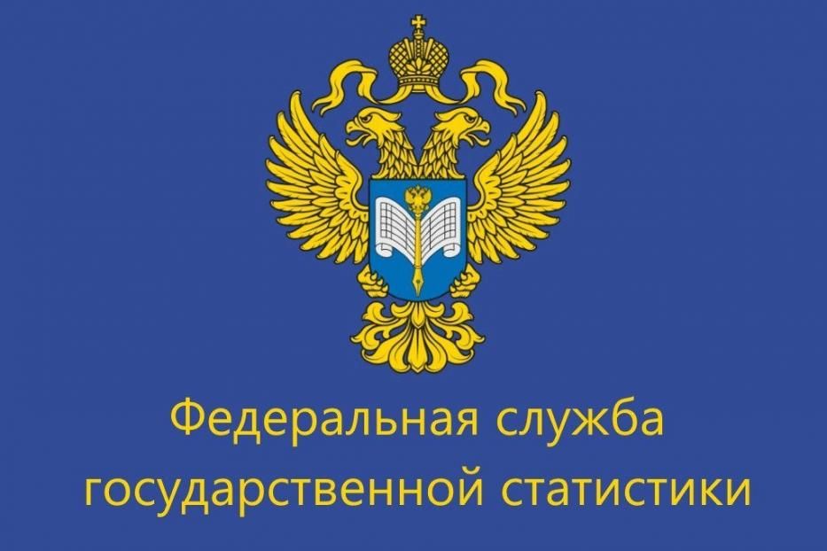 Росстат приглашает малый бизнес принять участие в экономической переписи