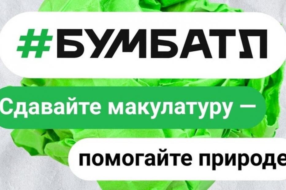 Сдайте макулатуру – спасите дерево