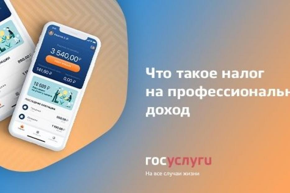 Что такое налог на профессиональный доход?